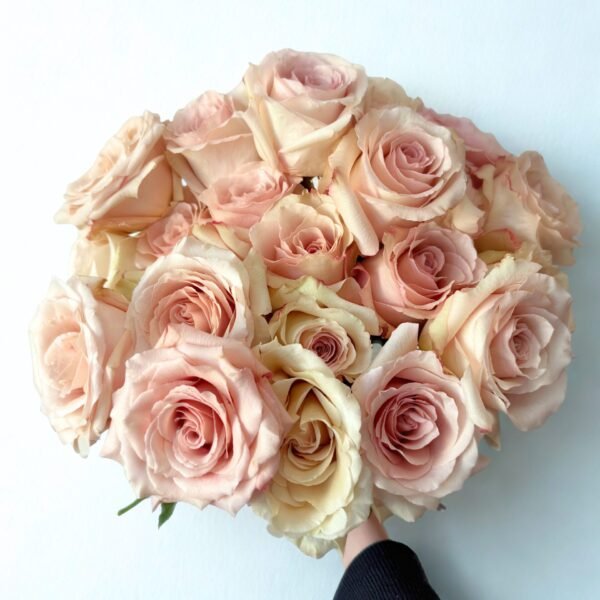 24 pink rose bouquet flower delivery by Petal & Bulb Florist