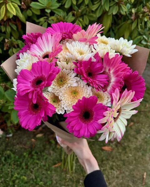 bouquet with pink gerberas and white spray mums handcrafted in Surrey BC by Petal & Bulb Florist