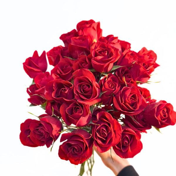 red spray rose bouquet