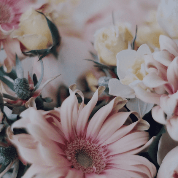 6 month flower subscription