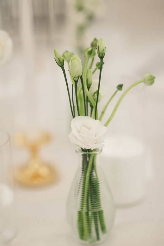 Stanley Park Teahouse bud vase