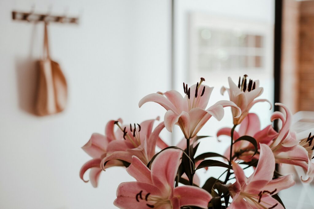 small apartment flowers
