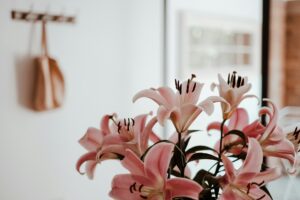 small apartment flowers