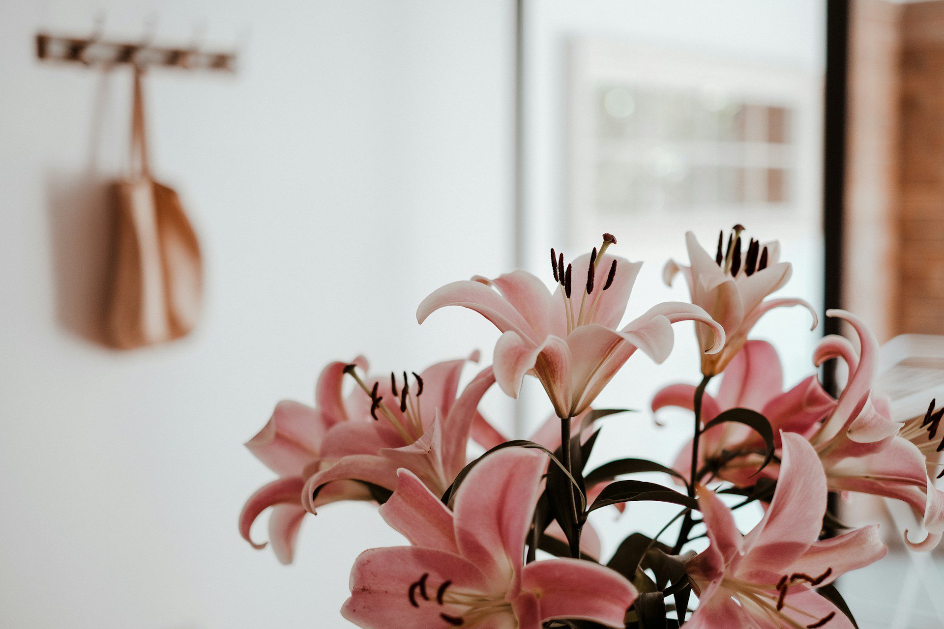 small apartment flowers